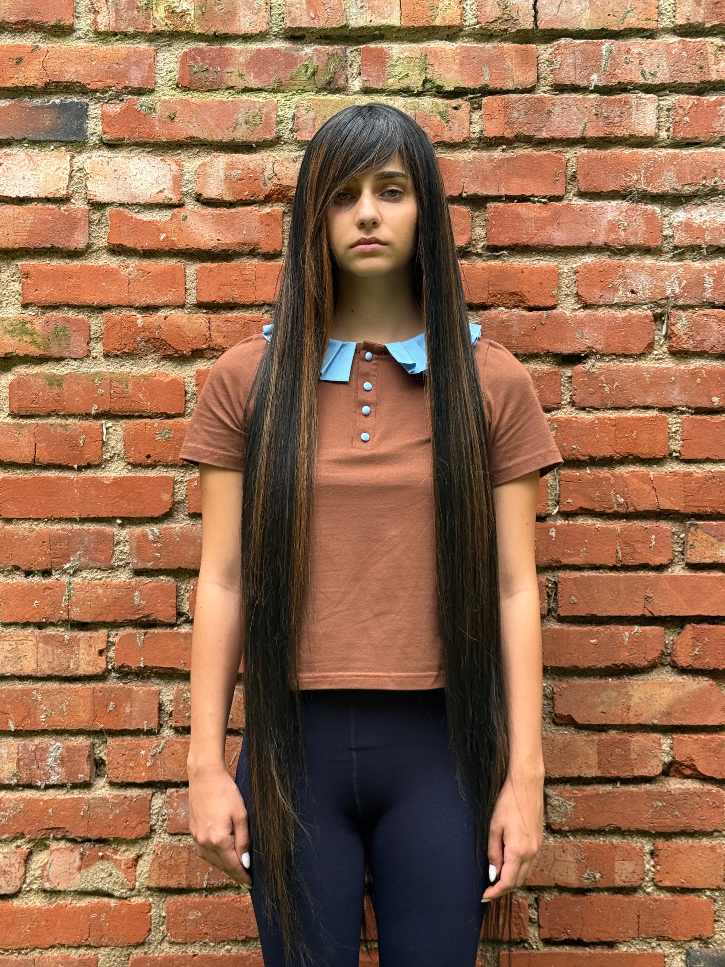 Pedigree Tee Brown